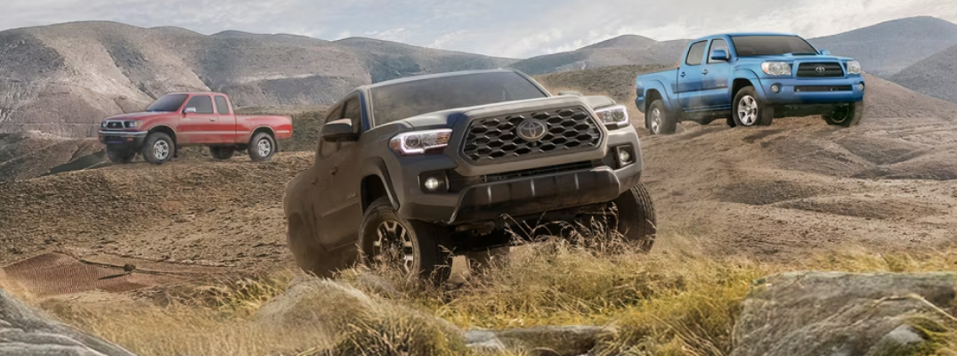 Used Toyota Vehicles in a field