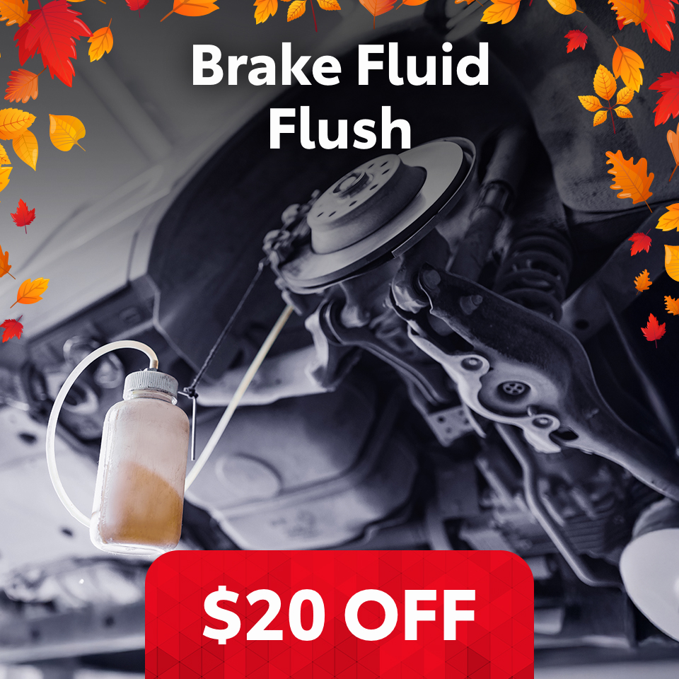 $20 Off Brake Fluid Flush