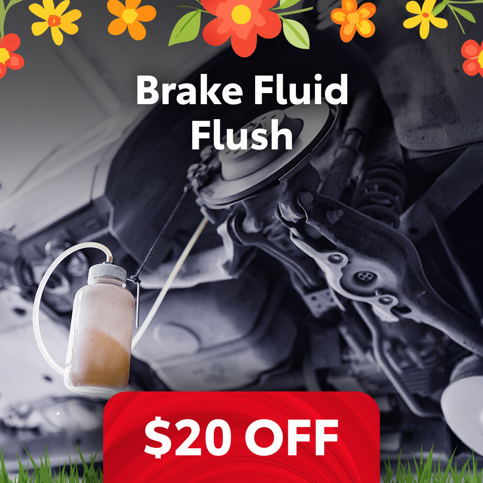 $20 Off Brake Fluid Flush