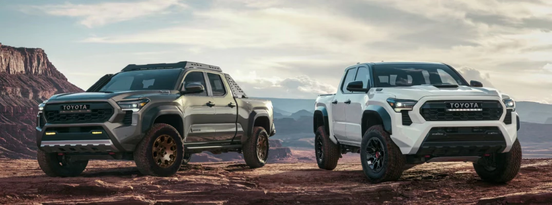 Two 2026 Toyota Tacoma models